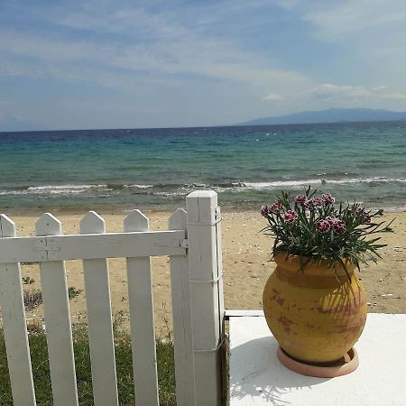 House Kokkalas On The Beach ピルガディキア エクステリア 写真