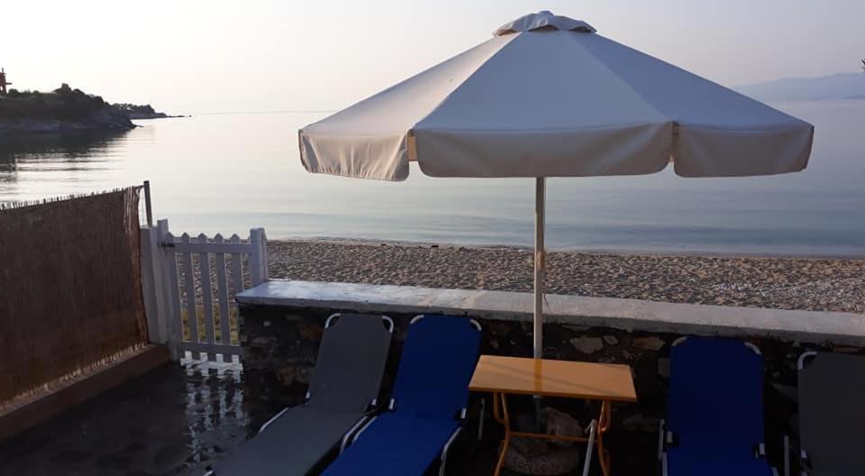 House Kokkalas On The Beach ピルガディキア エクステリア 写真