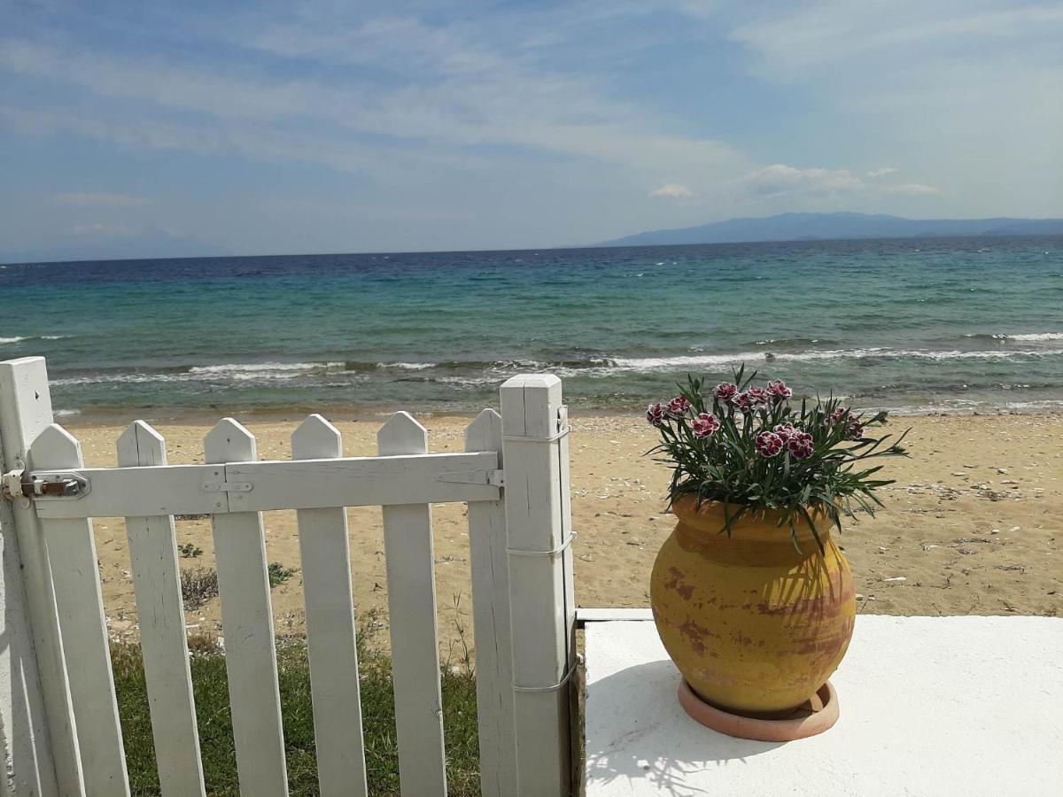 House Kokkalas On The Beach ピルガディキア エクステリア 写真