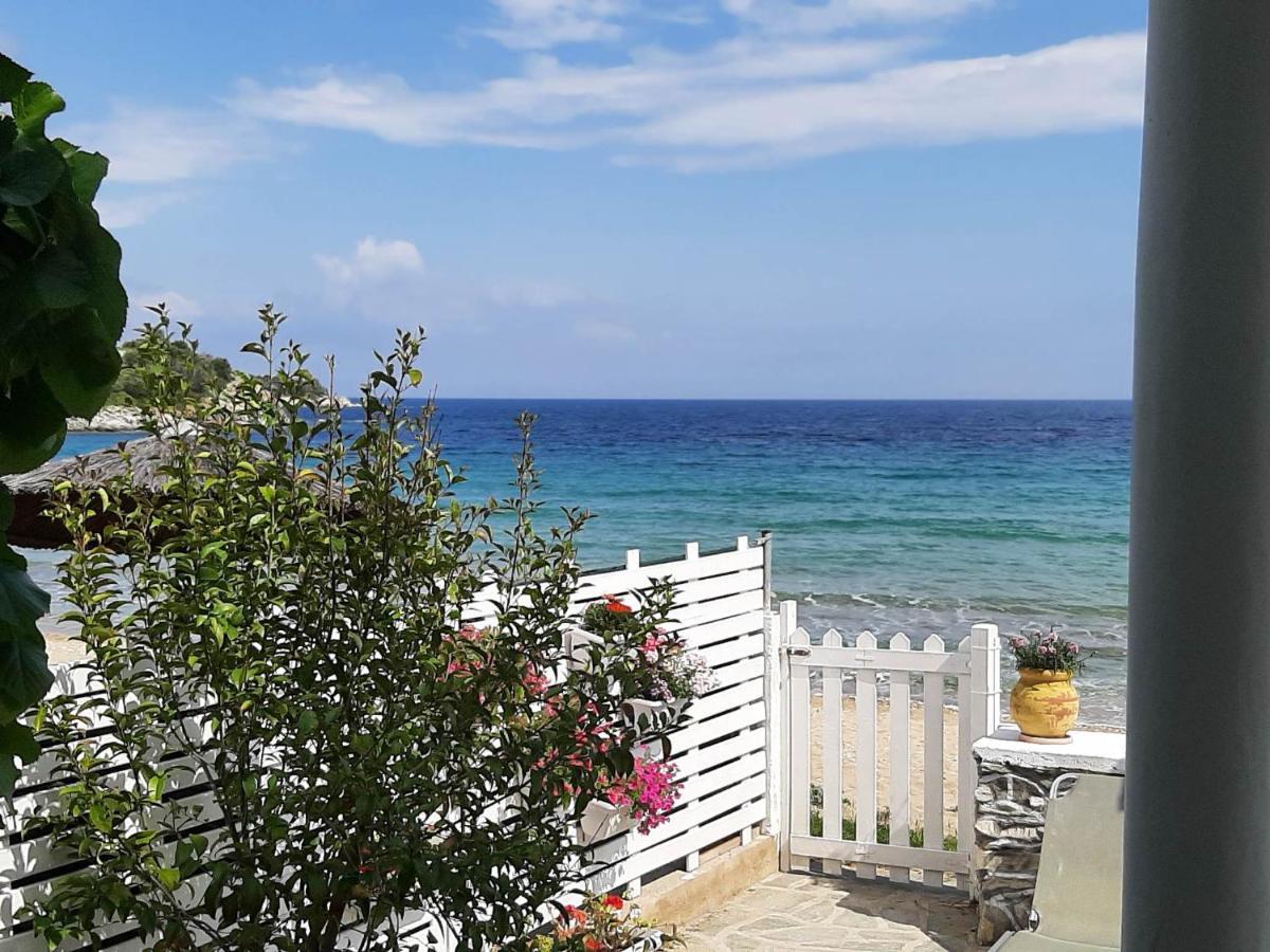 House Kokkalas On The Beach ピルガディキア エクステリア 写真